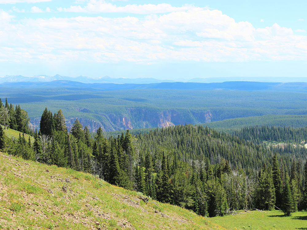 Dunraven Pass mountain landscape, Yellowstone National Park