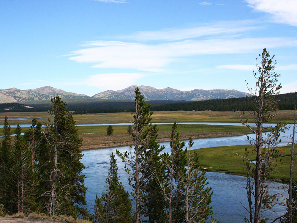 Yellowstone River winding through Hayden Valley
