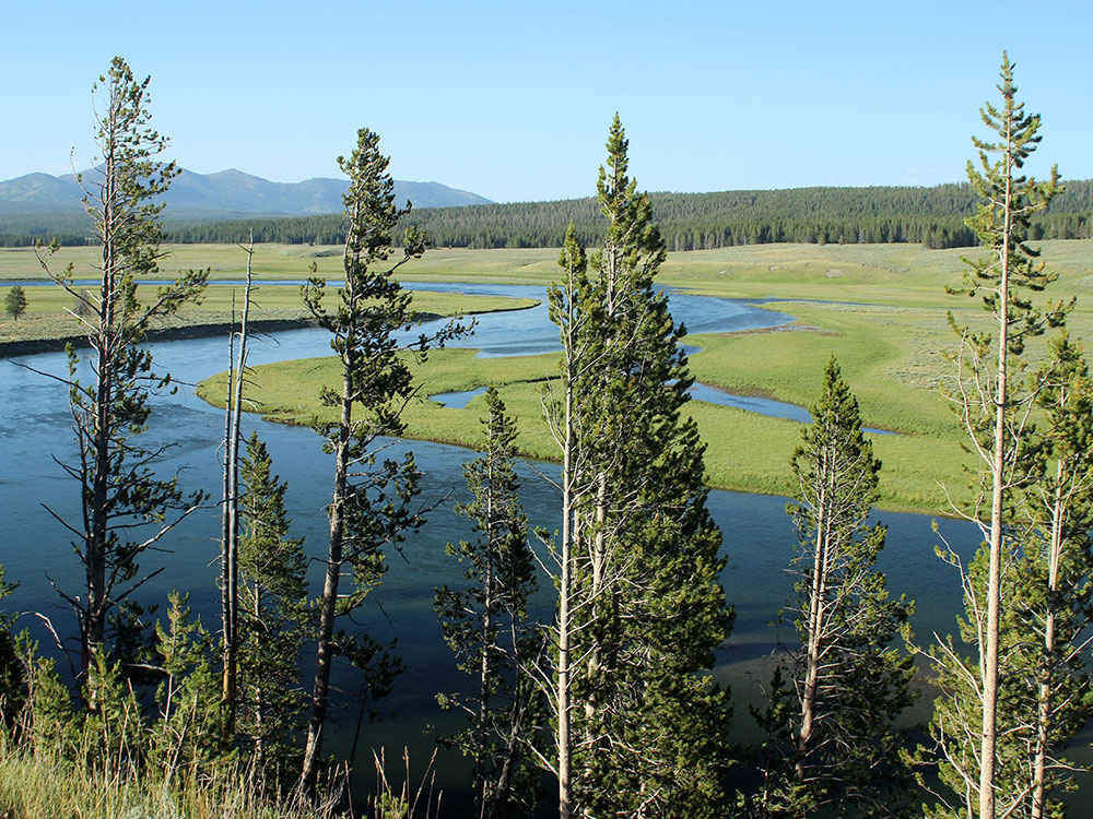 Hayden Valley open meadows, Yellowstone National Park