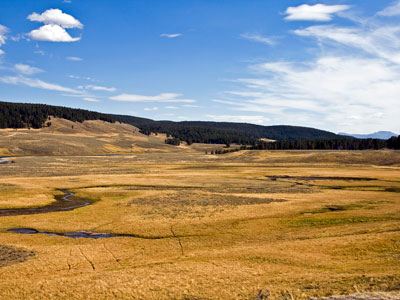 Hayden Valley, Yellowstone National Park