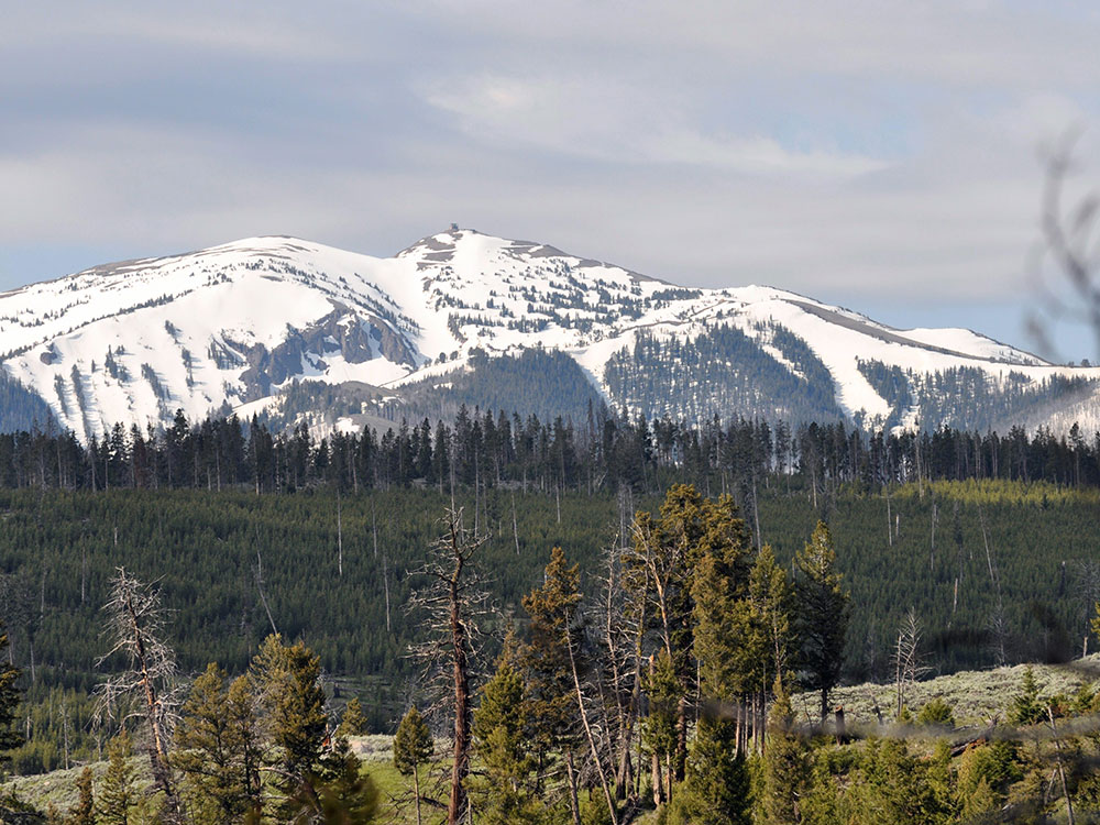 Mount Washburn, Yellowstone National Park