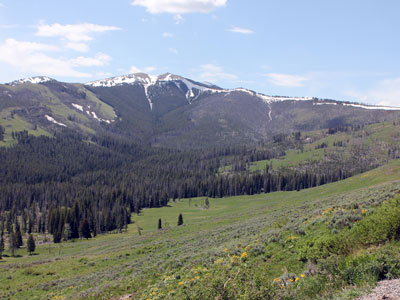 Mount Washburn, Yellowstone National Park