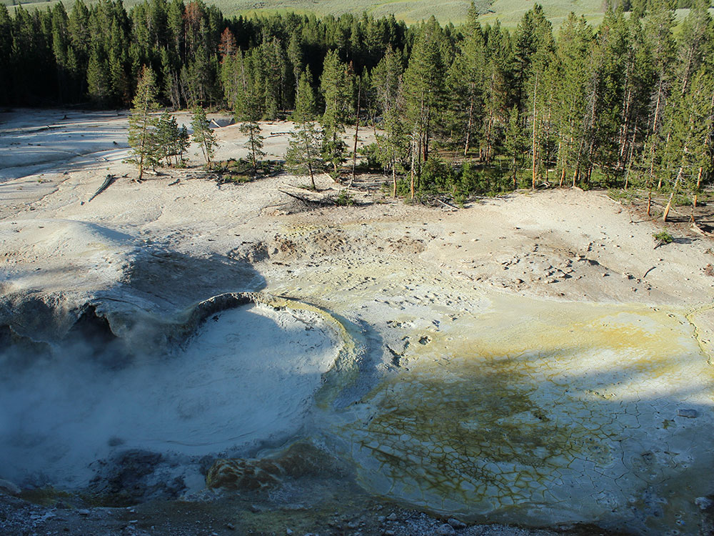 Sulphur Caldron acidic hot spring, Yellowstone
