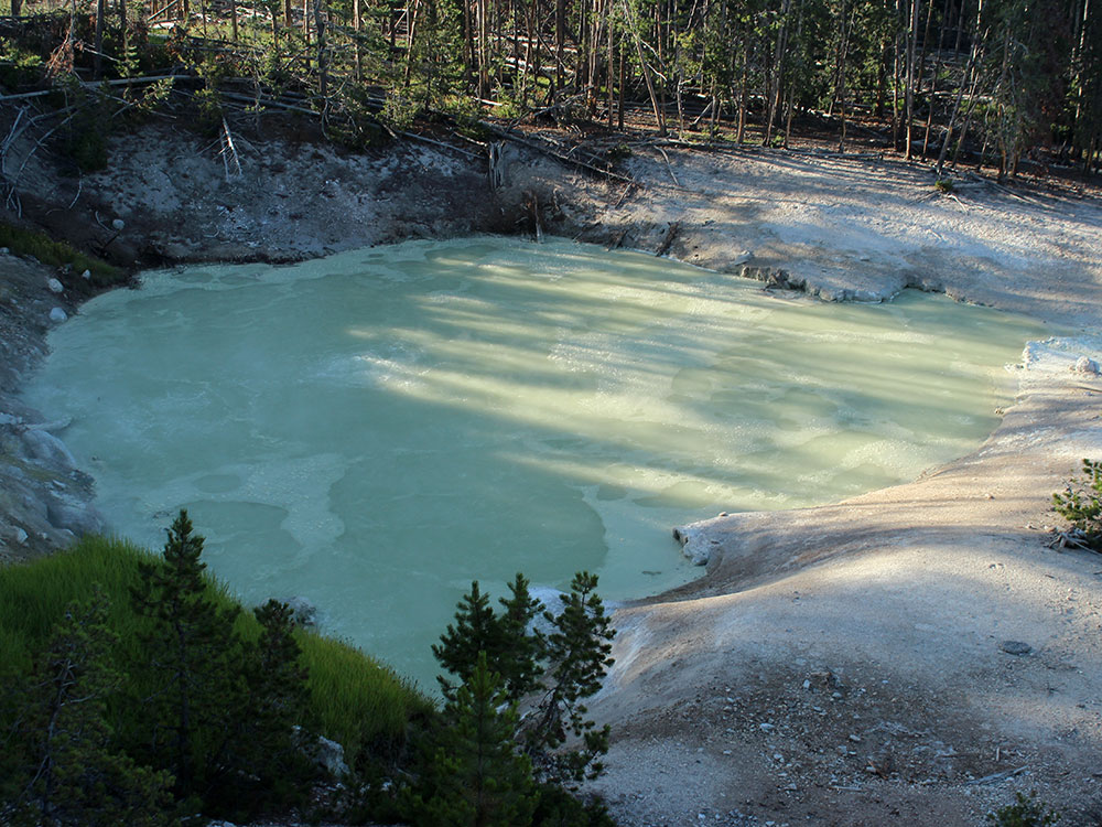 Bubbling sulfuric waters of Sulphur Caldron, Yellowstone