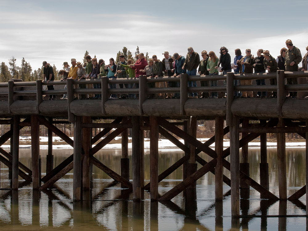 Visitors on Fishing Bridge, Yellowstone National Park