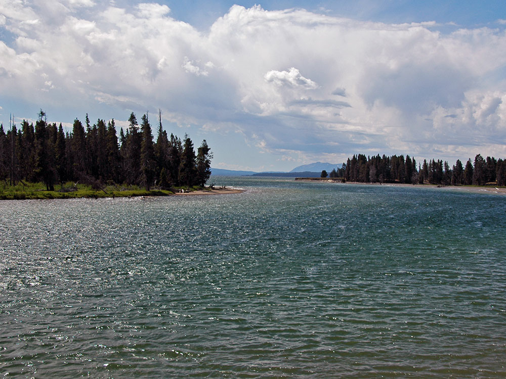 Yellowstone River near Fishing Bridge, Yellowstone National Park