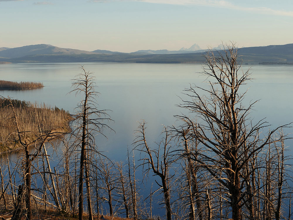 Yellowstone Lake view from Lake Butte Overlook