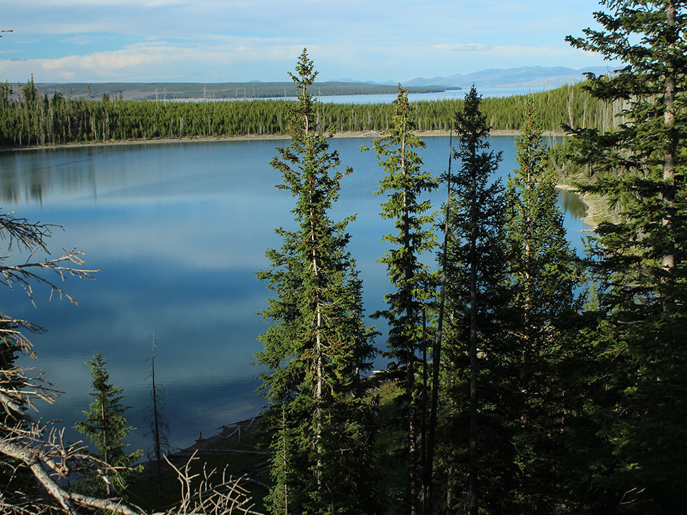 Yellowstone Lake shoreline, Yellowstone National Park
