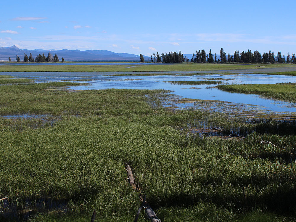 Yellowstone Lake view, Yellowstone National Park