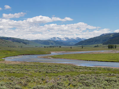 Summer in Lamar Valley, Yellowstone National Park