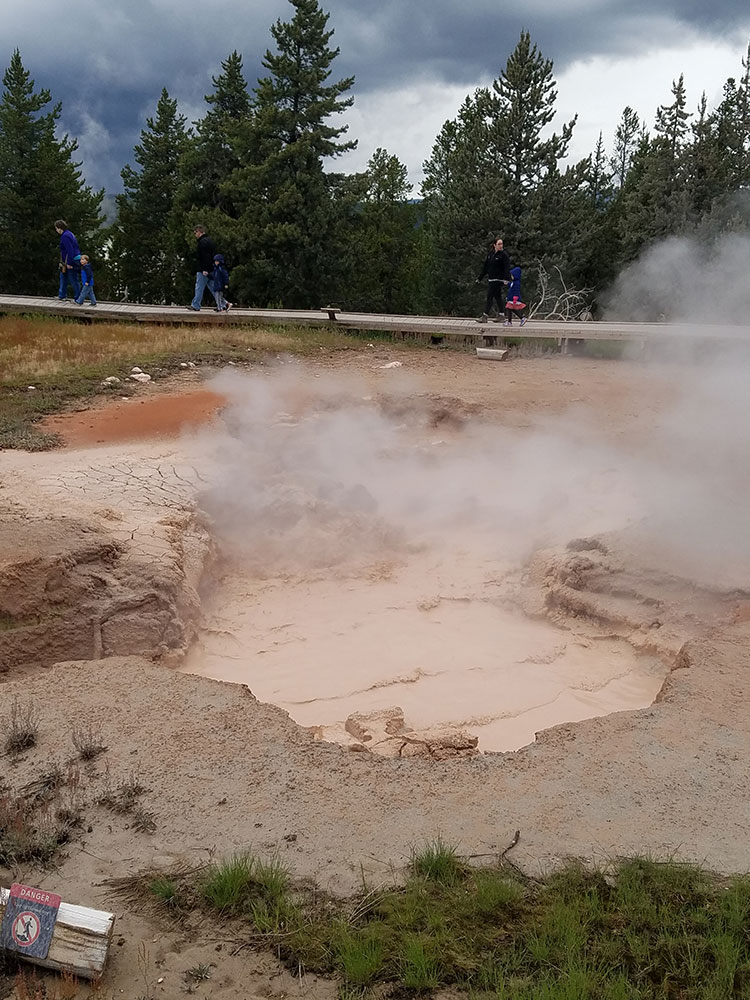 Steam rising from Fountain Paint Pot thermal area