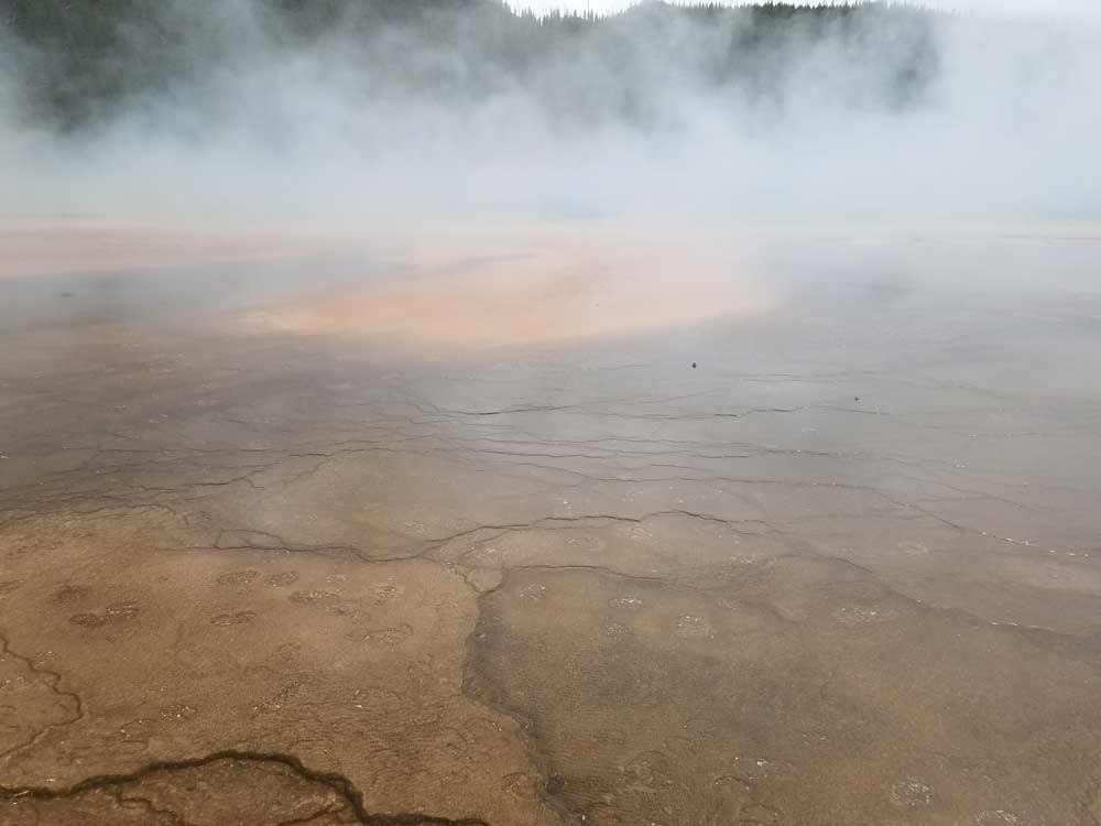 Steam rising off Grand Prismatic Spring, Yellowstone