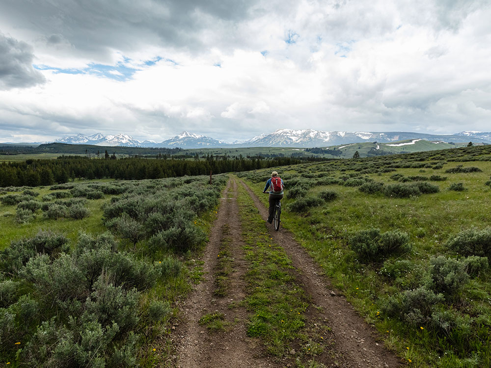 Cyclist riding the Bunsen Peak Road bike trail, Yellowstone