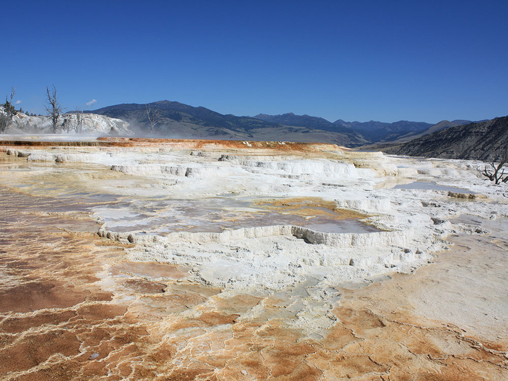 Terracing detail at Mammoth Hot Springs, Yellowstone