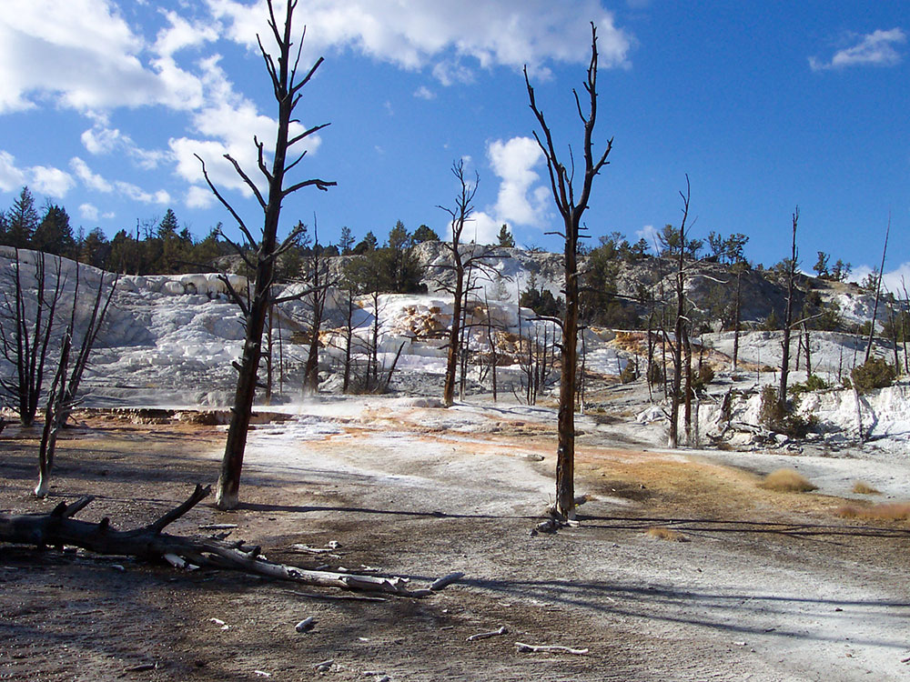 Travertine terraces at Mammoth Hot Springs, Yellowstone National Park