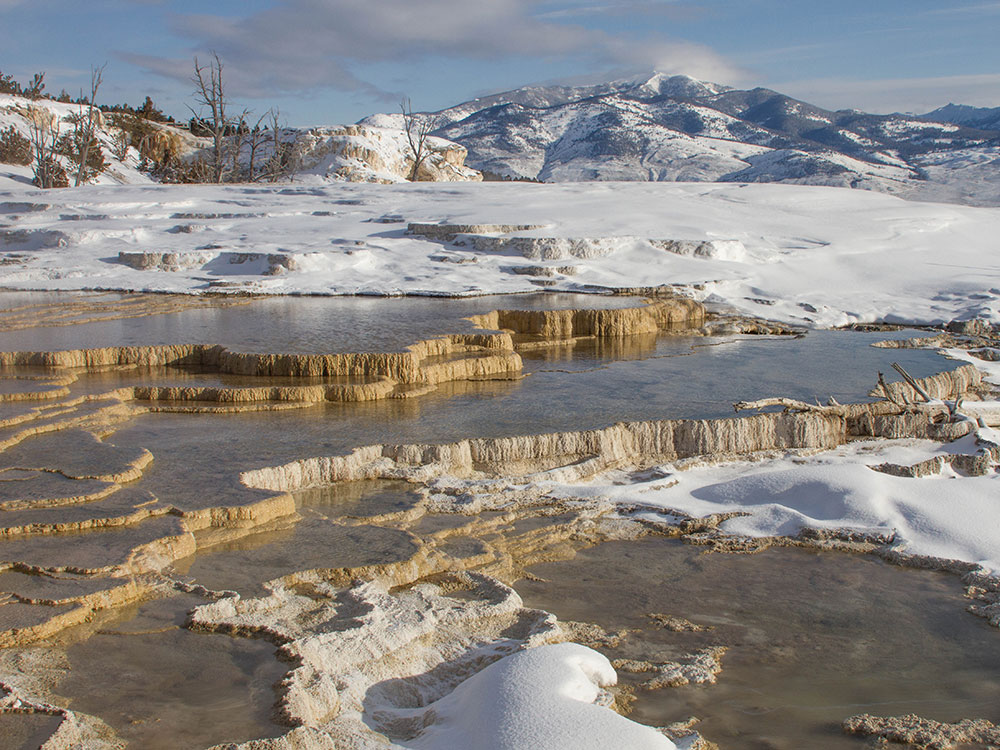 Mammoth Hot Springs terraces, Yellowstone National Park