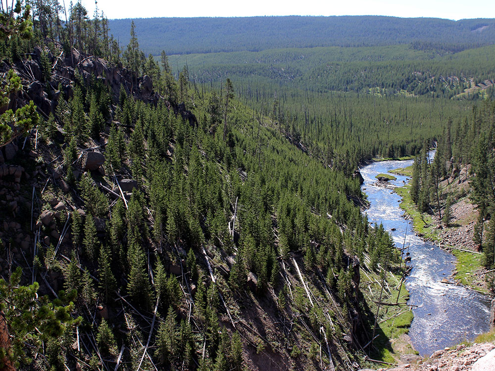Gibbon Falls cascading over volcanic rock, Yellowstone National Park