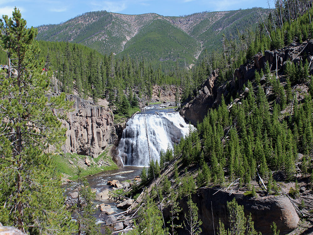 Wide view of Gibbon Falls along the Gibbon River, Yellowstone