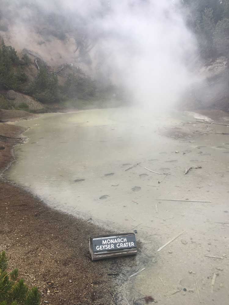 Monarch Geyser Crater, Norris Geyser Basin, Yellowstone