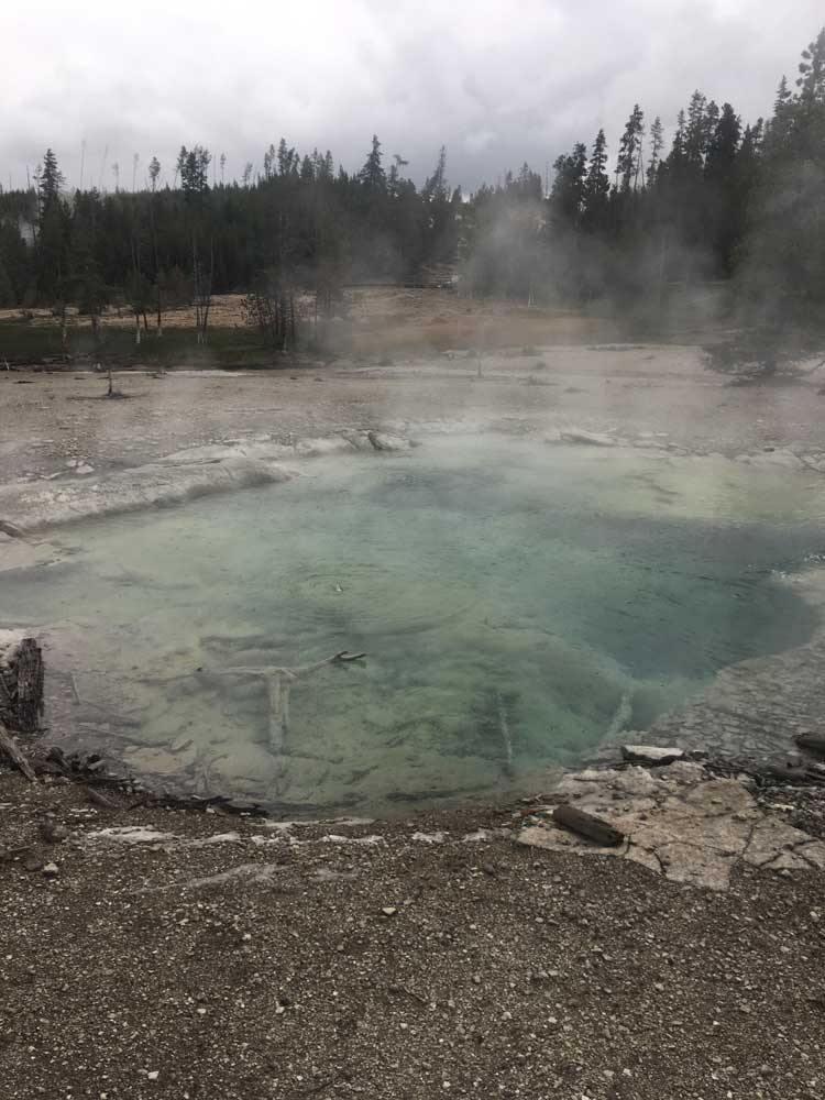 Colorful hot spring in Norris Geyser Basin, Yellowstone National Park