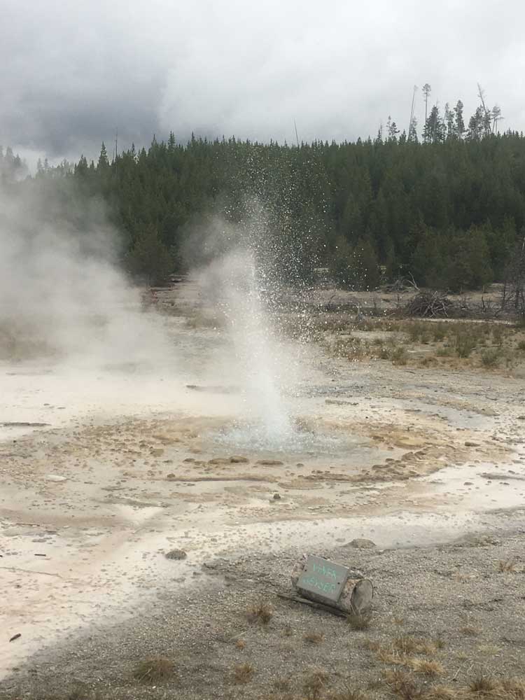 Vixen Geyser, Norris Geyser Basin, Yellowstone National Park