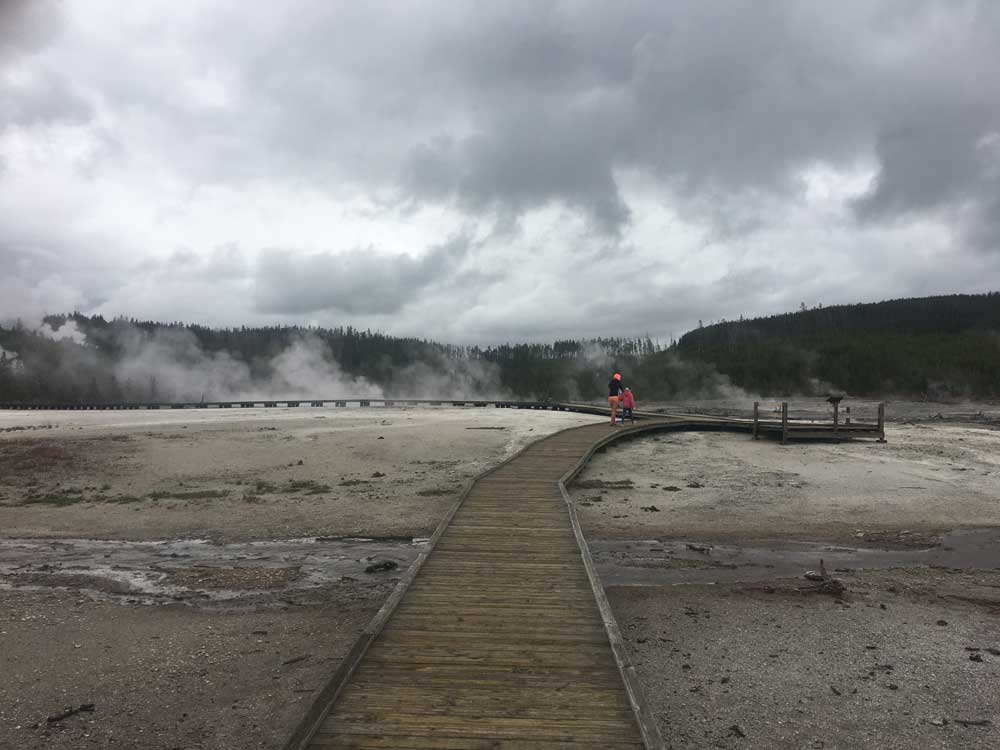 Boardwalk trail through Norris Geyser Basin's thermal features