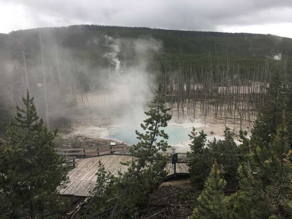 Boardwalk viewing deck overlooking Norris Geyser Basin