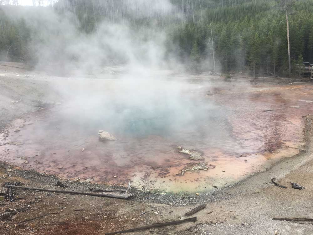 Echinus Geyser, Norris Geyser Basin, Yellowstone National Park