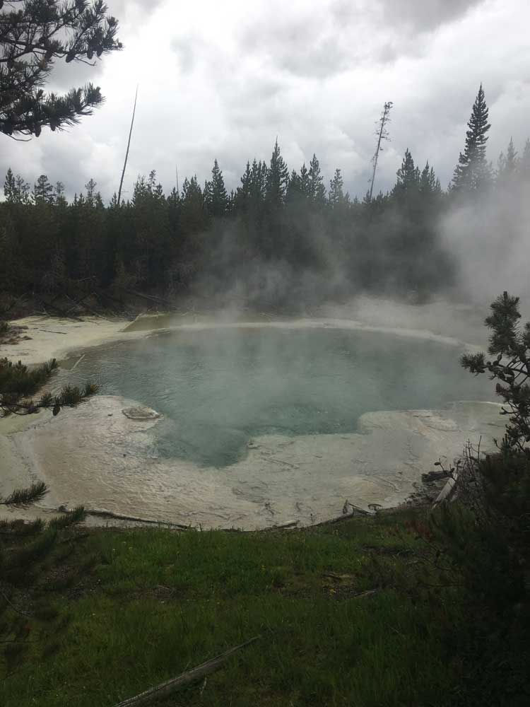 Emerald Spring, a vivid green hot spring in Norris Geyser Basin