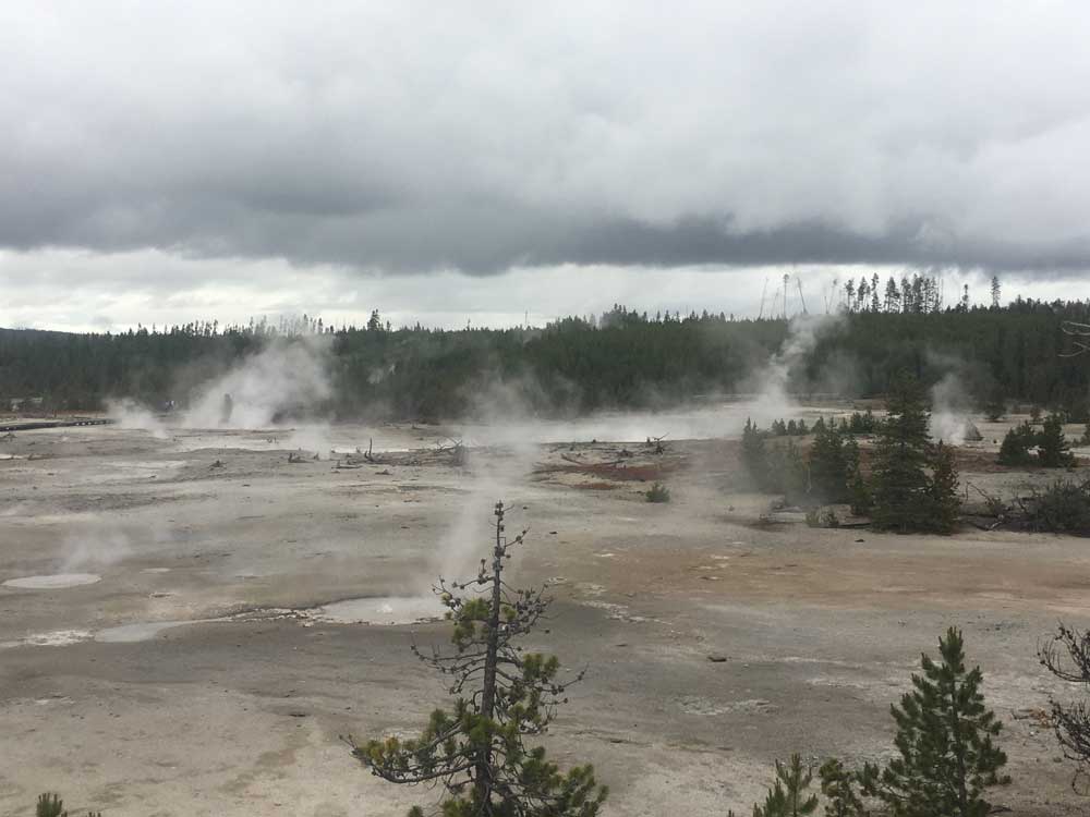 Steaming geysers and thermal features in Norris Geyser Basin