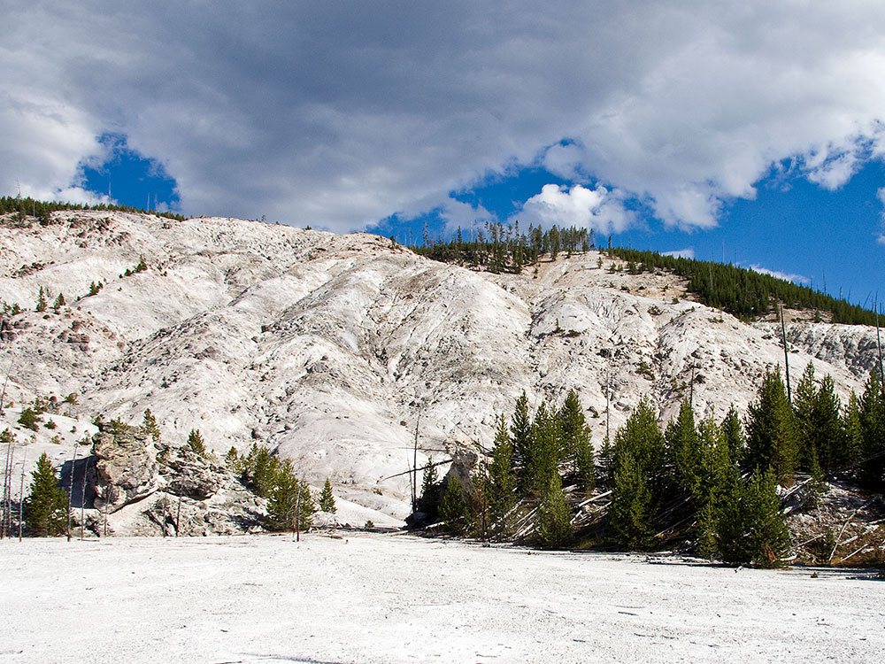 Steaming fumaroles on the slopes of Roaring Mountain, Yellowstone