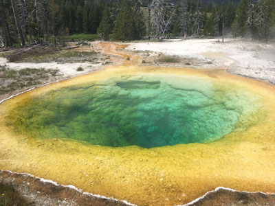 Morning Glory Pool, Yellowstone National Park
