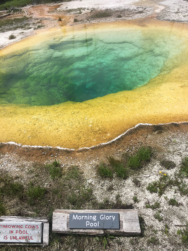Morning Glory Pool Sign