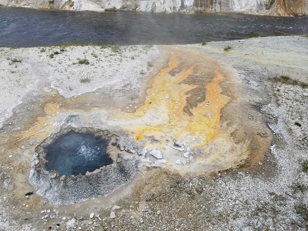Chinese Spring