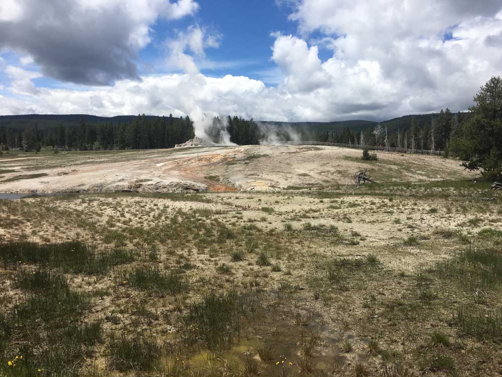 Upper Basin Field