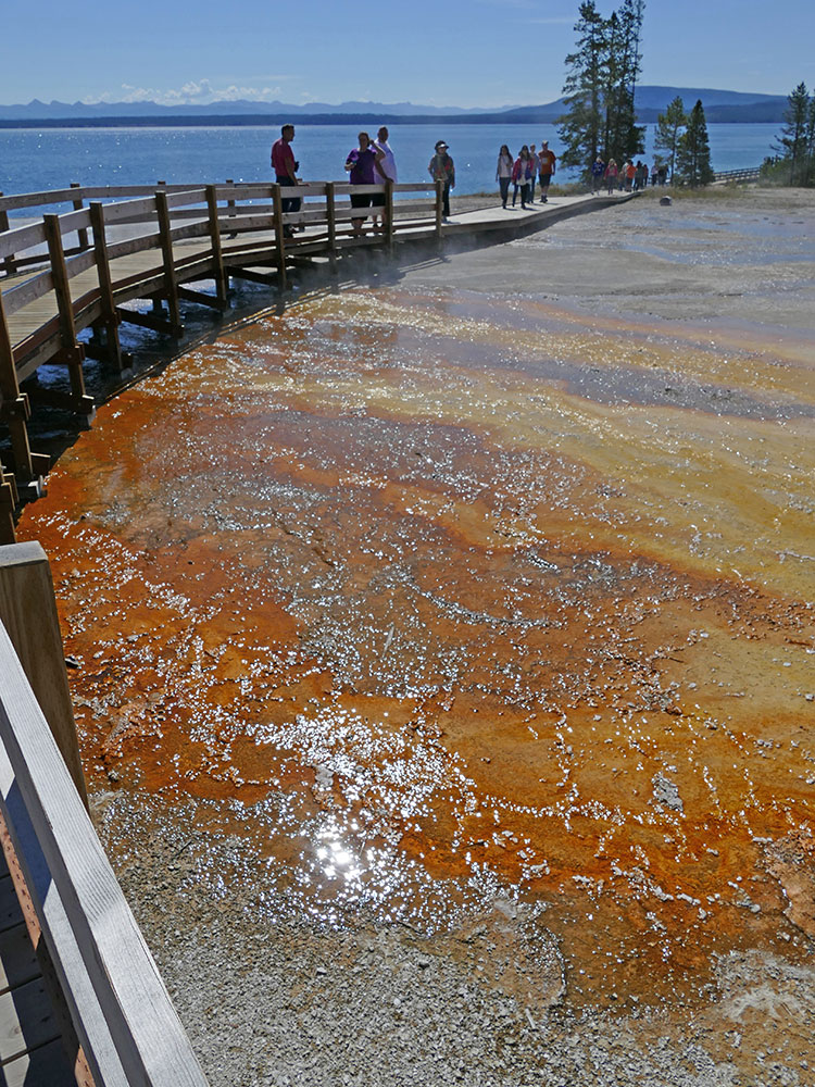 Boardwalk over colorful thermal runoff at West Thumb Geyser Basin