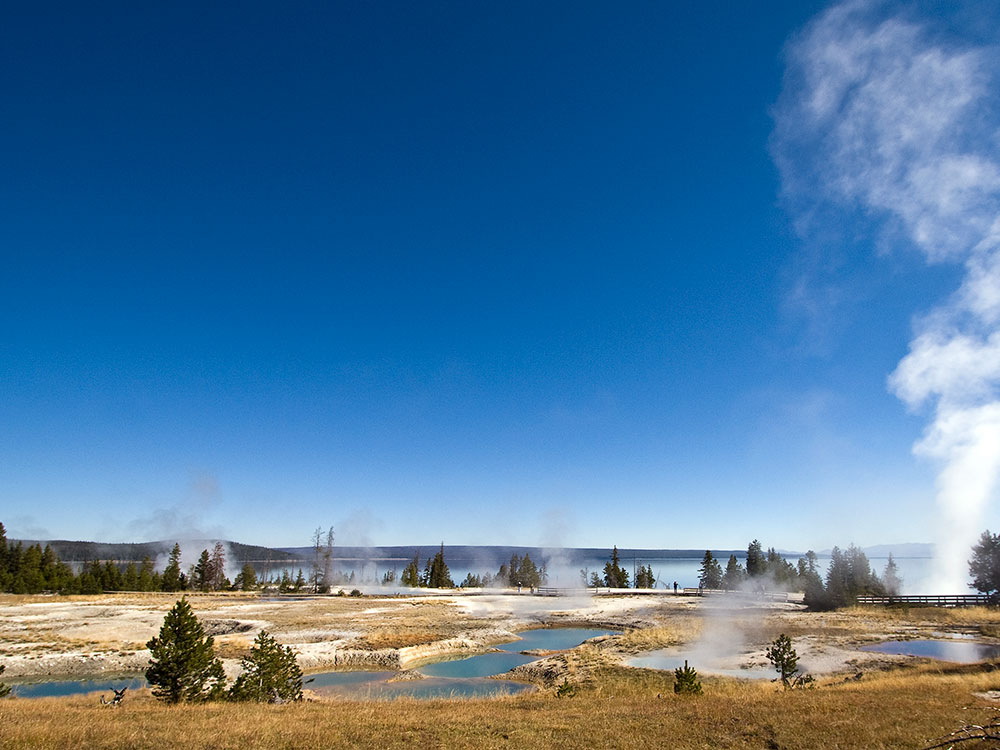 Overview of West Thumb Geyser Basin along Yellowstone Lake